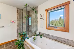 228 Glacier Ridge Rd, Alma, CO 80420 - Photo 20