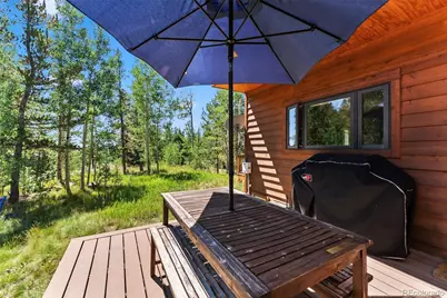 228 Glacier Ridge Road, Alma, CO 80420 - Photo 42