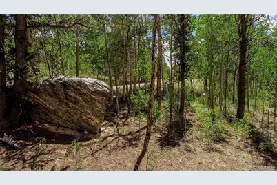 308 Quarry Road, Fairplay, CO 80440 - Photo 8