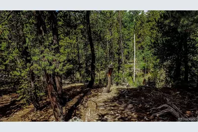 308 Quarry Road, Fairplay, CO 80440 - Photo 30