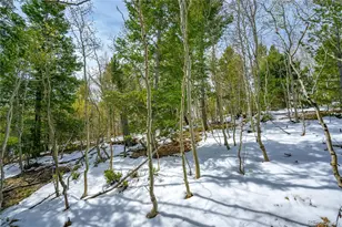 192 Deadwood Rd, Cripple Creek, CO 80813 - Photo 1