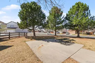 7242 High St, Longmont, CO 80504 - Photo 20