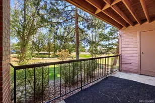 4899 S Dudley Street, Denver, CO 80123 - Photo 10