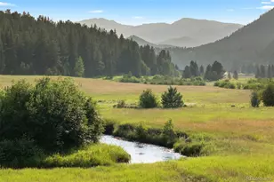 80 Elk Crossing, Evergreen, CO 80439 - Photo 2