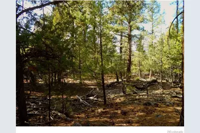 Pawnee Court, Mosca, CO 81146 - Photo 16