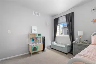 1002 Halfmoon Dr, Castle Rock, CO 80104 - Photo 30