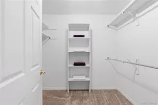 128 Las Lunas St, Castle Rock, CO 80104 - Photo 16