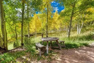 1141 Panadero Loop, Cuchara, CO 81055 - Photo 44