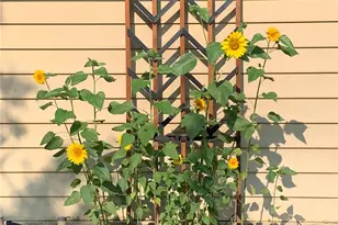 3210 Darley Ave, Boulder, CO 80305 - Photo 36