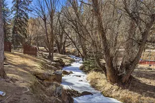 4865 Silver Spruce Ln, Evergreen, CO 80439 - Photo 38