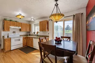 10102 Telluride St, Littleton, CO 80125 - Photo 12