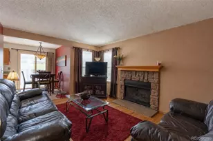10102 Telluride St, Littleton, CO 80125 - Photo 18