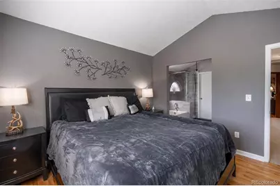 10102 Telluride Street, Littleton, CO 80125 - Photo 20