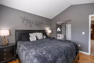 10102 Telluride St, Littleton, CO 80125 - Photo 20