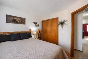 10102 Telluride St, Littleton, CO 80125 - Photo 30