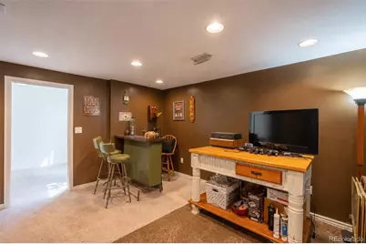 10102 Telluride Street, Littleton, CO 80125 - Photo 34