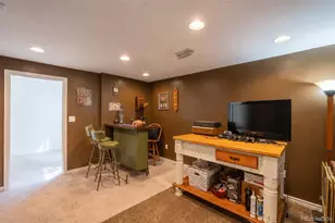 10102 Telluride St, Littleton, CO 80125 - Photo 34