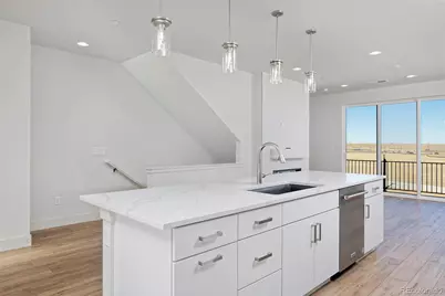 3261 W Frances Walsh Place, Denver, CO 80236 - Photo 10