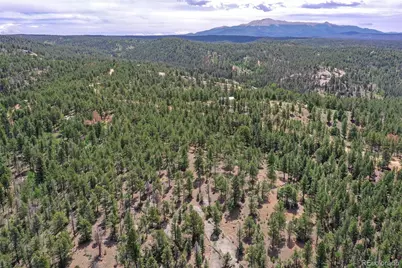 293 Badger Trail, Florissant, CO 80816 - Photo 22