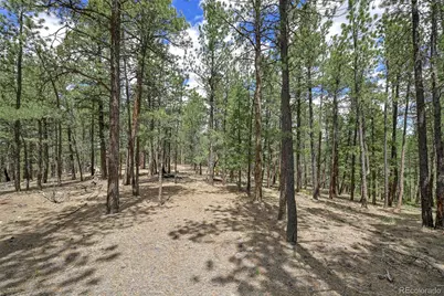 293 Badger Trail, Florissant, CO 80816 - Photo 4