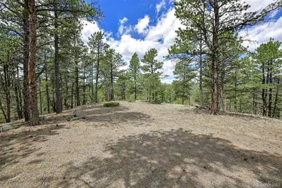 293 Badger Trail, Florissant, CO 80816 - Photo 8