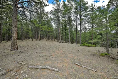 293 Badger Trail, Florissant, CO 80816 - Photo 12