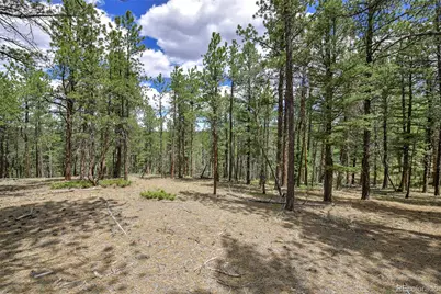 293 Badger Trail, Florissant, CO 80816 - Photo 6