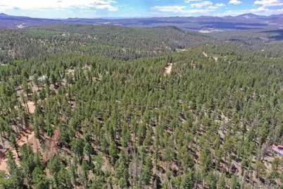 293 Badger Trail, Florissant, CO 80816 - Photo 20