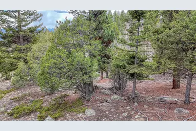 30176 Mountaintop Drive, Buena Vista, CO 81211 - Photo 28
