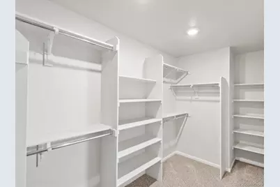 1593 Colorado River Drive, Windsor, CO 80550 - Photo 20