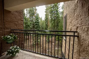 765 Columbine St, Breckenridge, CO 80424 - Photo 8