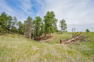 12400 Co Rd 102, Elbert, CO 80106 - Photo 36