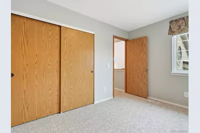 765 Stowe Street, Highlands Ranch, CO 80126 - Photo 30