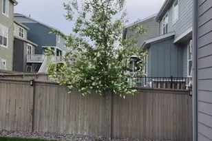 3192 Greenery Dr., Castle Rock, CO 80109 - Photo 42