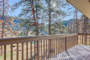 28555 Memorial Park Way, Conifer, CO 80433 - Photo 14