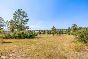 9142 Warriors Mark Dr, Franktown, CO 80116 - Photo 42