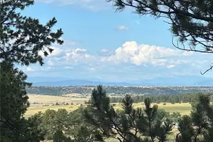 9142 Warriors Mark Dr, Franktown, CO 80116 - Photo 10