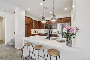 9528 Cedarhurst Ln, Highlands Ranch, CO 80129 - Photo 6