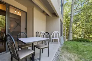 220 E La Bonte Street, Dillon, CO 80435 - Photo 16