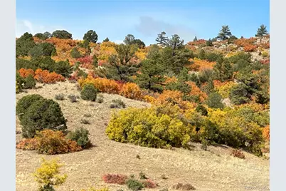 92 Bear Trax, Canon City, CO 81212 - Photo 14
