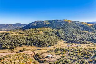 92 Bear Trax, Canon City, CO 81212 - Photo 4
