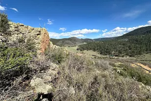 92 Bear Trax, Canon City, CO 81212 - Photo 16