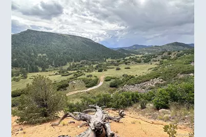92 Bear Trax, Canon City, CO 81212 - Photo 18