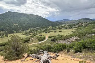 92 Bear Trax, Canon City, CO 81212 - Photo 18