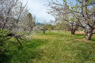 762 Leprechaun Lane, Howard, CO 81233 - Photo 44
