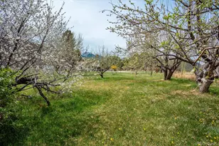 762 Leprechaun Ln, Howard, CO 81233 - Photo 44