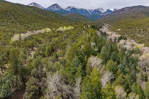 762 Leprechaun Ln, Howard, CO 81233 - Photo 50