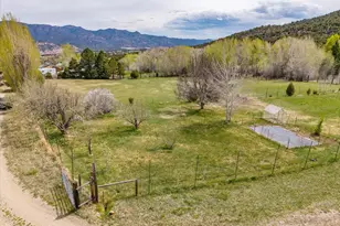 762 Leprechaun Ln, Howard, CO 81233 - Photo 6