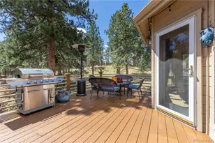 302 Cottonwood Dr, Evergreen, CO 80439 - Photo 38