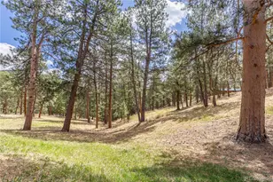 302 Cottonwood Dr, Evergreen, CO 80439 - Photo 40